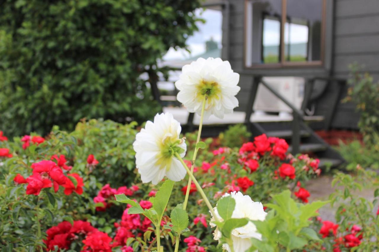 Bram'S Bach Villa Taupo Dış mekan fotoğraf