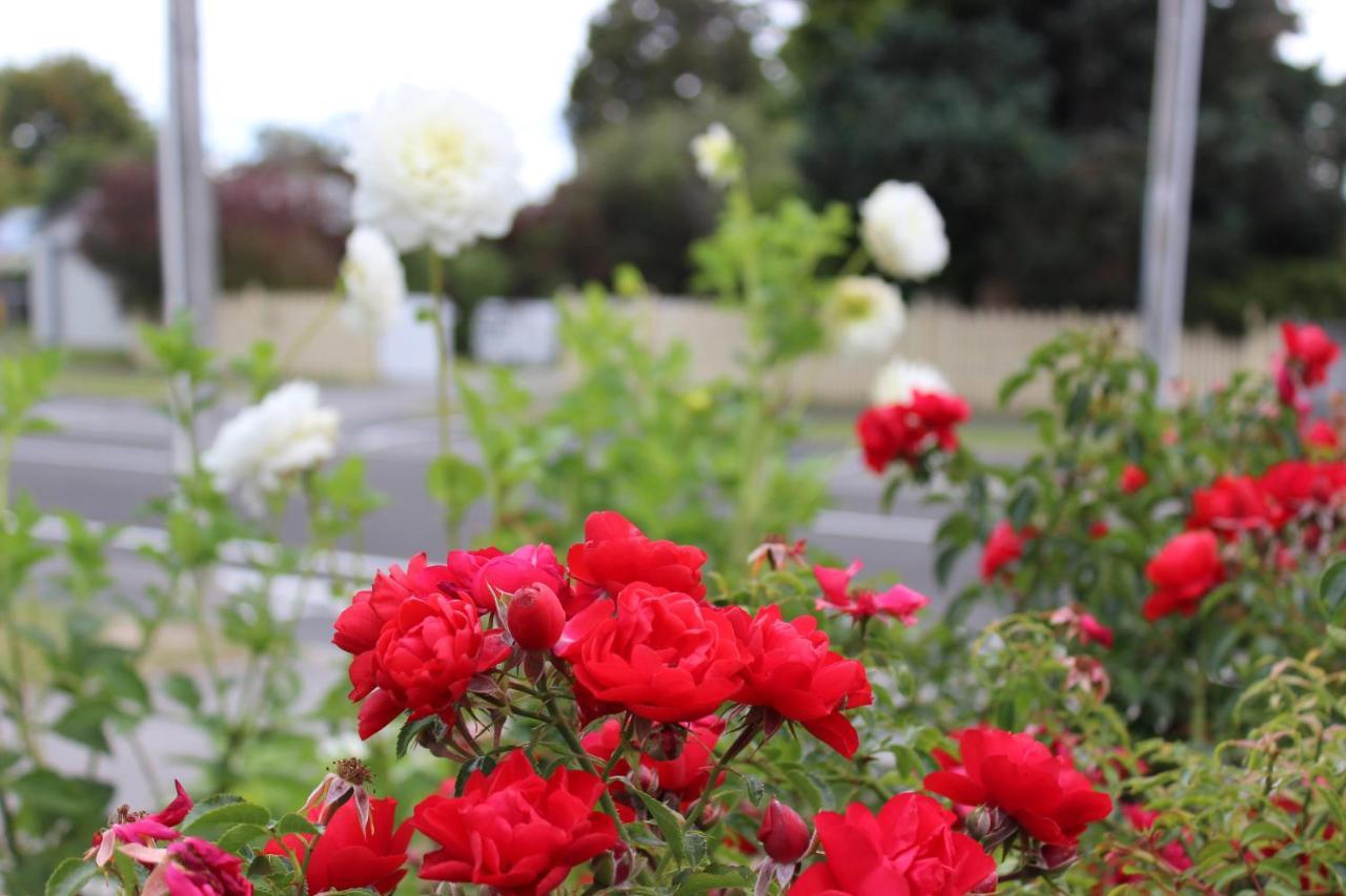 Bram'S Bach Villa Taupo Dış mekan fotoğraf